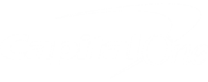 Capital-One